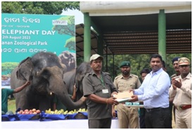 WORLD ELEPHANT DAY-2023