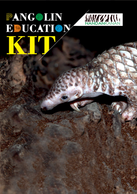 Pangolin Education Kit