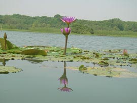 kanjia Lake 