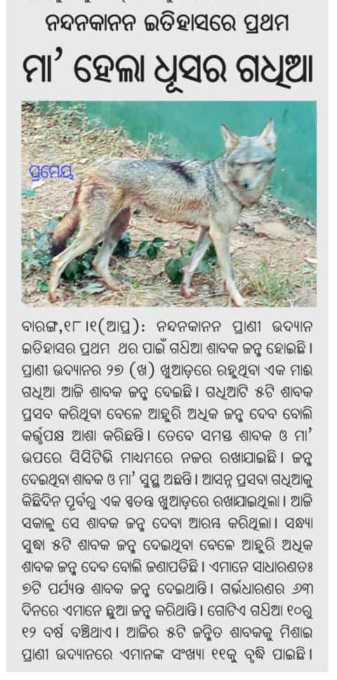 Press Coverage | Nandanakanan Zoological Park